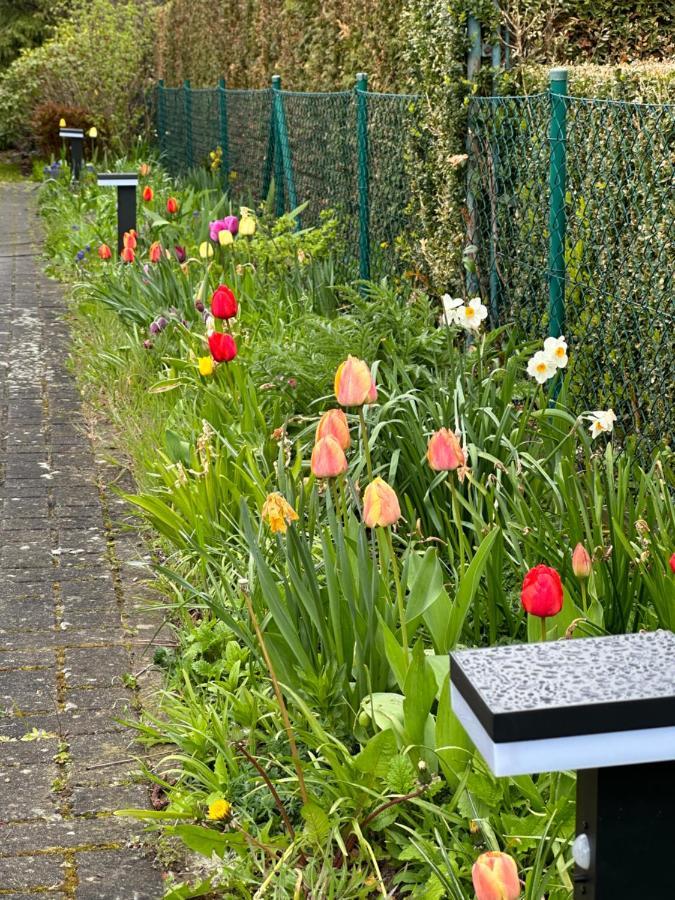 Appartement Familienurlaub Im Gruenen à Wernigerode Extérieur photo